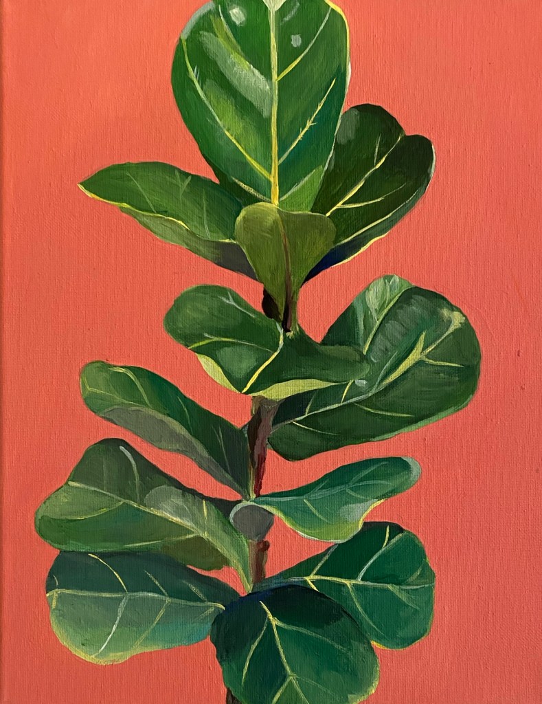 Painting of a vertical fiddle leaf fig with many leaves. The background color is bright coral.